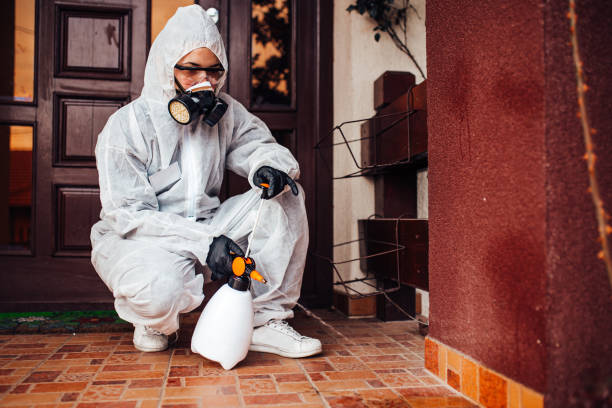 Reliable Wasp Removal contractor in Stanton, NE by Show Me Pest Control